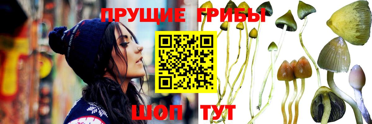 Галлюциногенные грибы Magic Shrooms  Вход с VPN  Одинцово  Галлюциногенные грибы мухоморы 